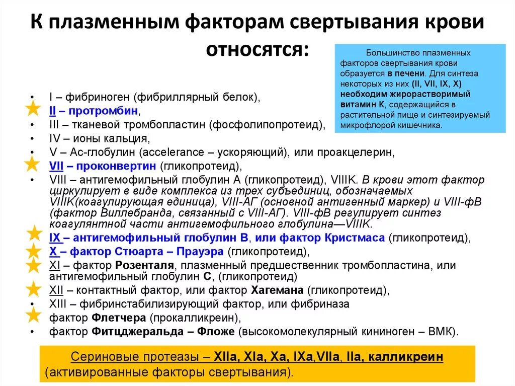 5 фактор крови. Факторы свертывания крови факторы свертывания крови. Функции факторов свертывания крови. 13 Плазменных факторов свертывания. Факторы свертываемост.