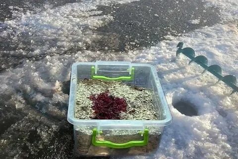 Какая приманка леща