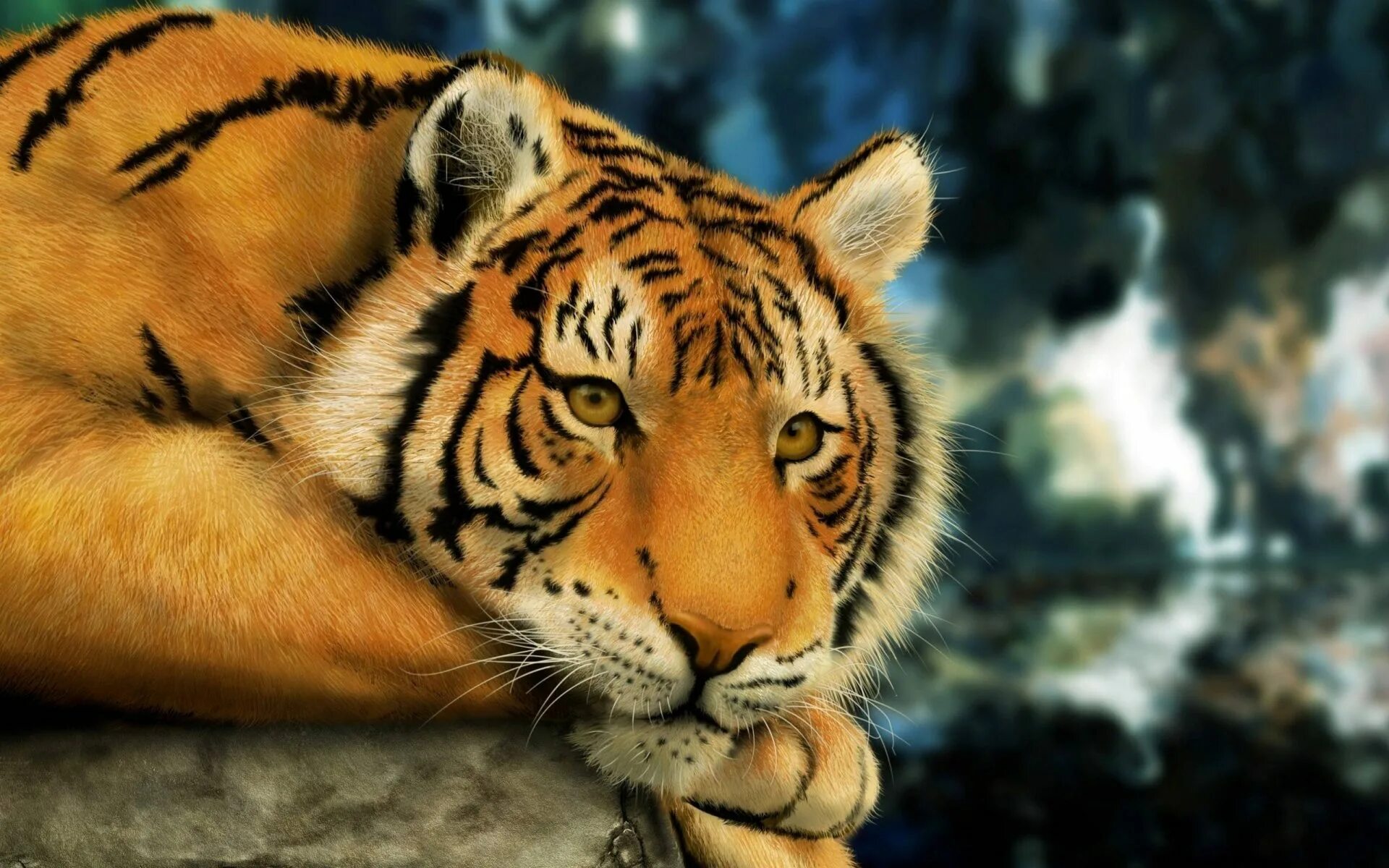 Картинки на экран красивые большие. Амурский тигр красавец. Тайгер тигр. Уссурийский тигр. Красивый тигр.