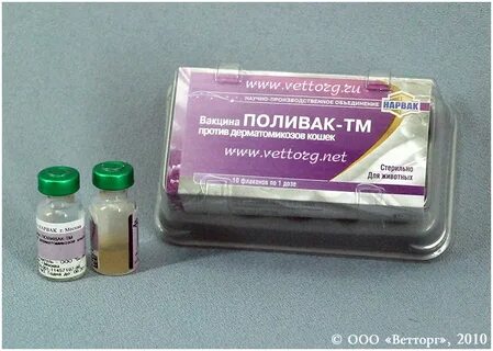 Глобулин у собак