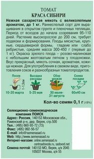 Краса томат описание