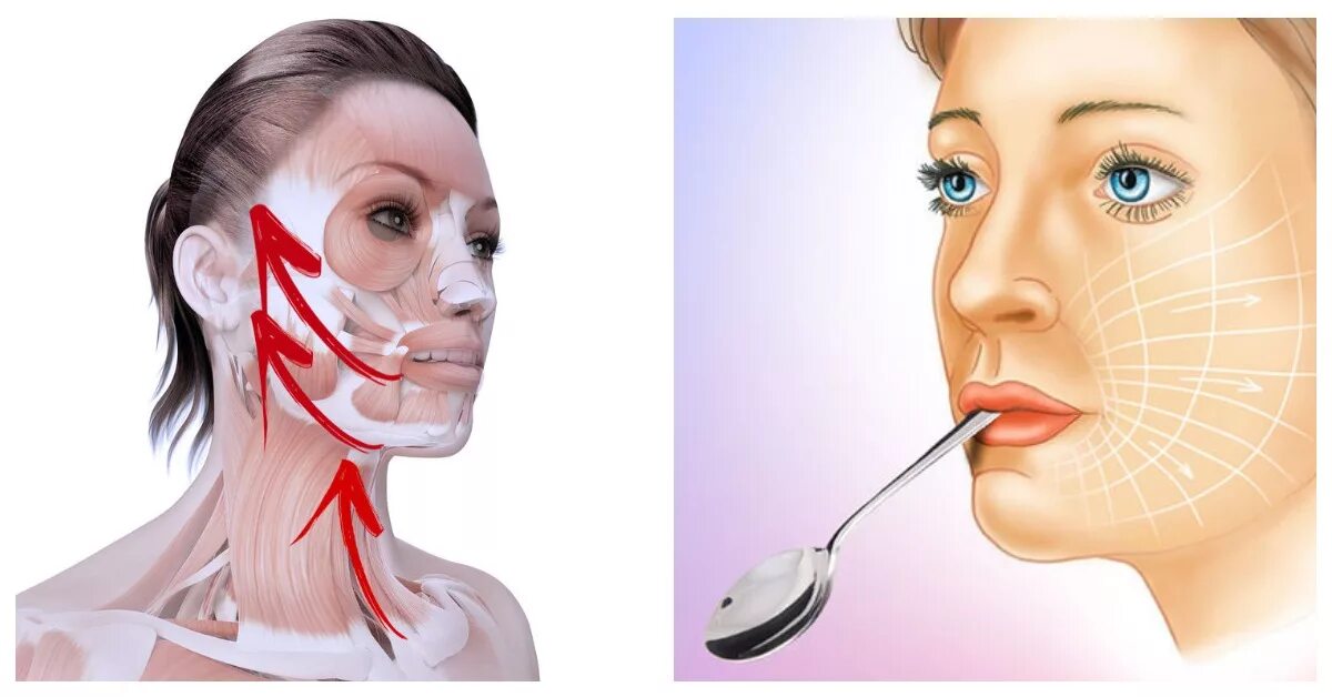 как накачать мышцы лица. анна горбацевич фейсбилдинг. как накачать мышцы лица. упражнения для мышц ли. упражнение от носогубныз скоплрк.