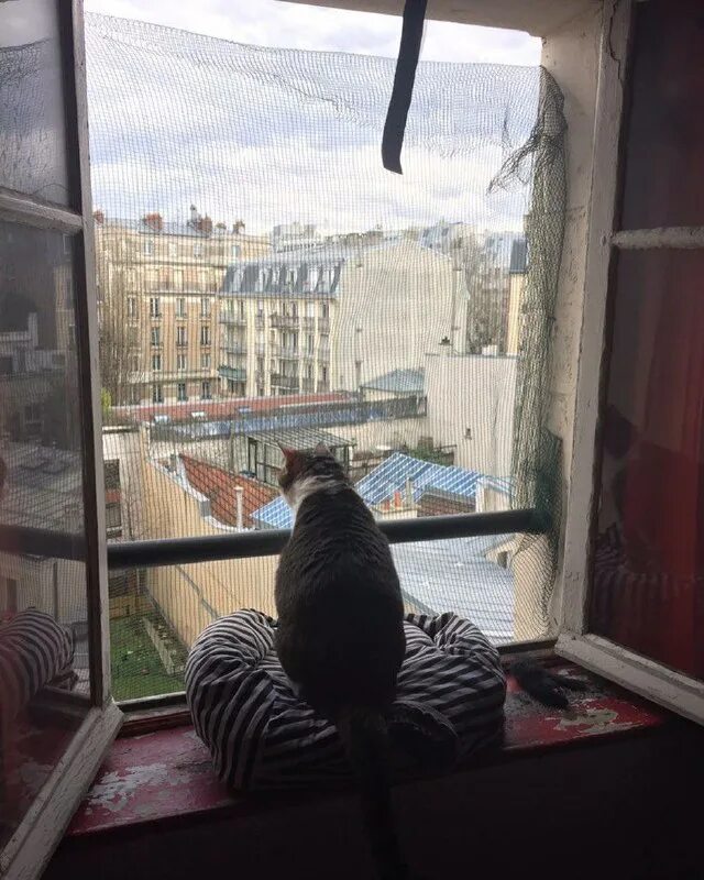 как сделать тг в окне. человек за окном. как сделать тг в окне. как сделать тг в окне. как сделать тг в окне.