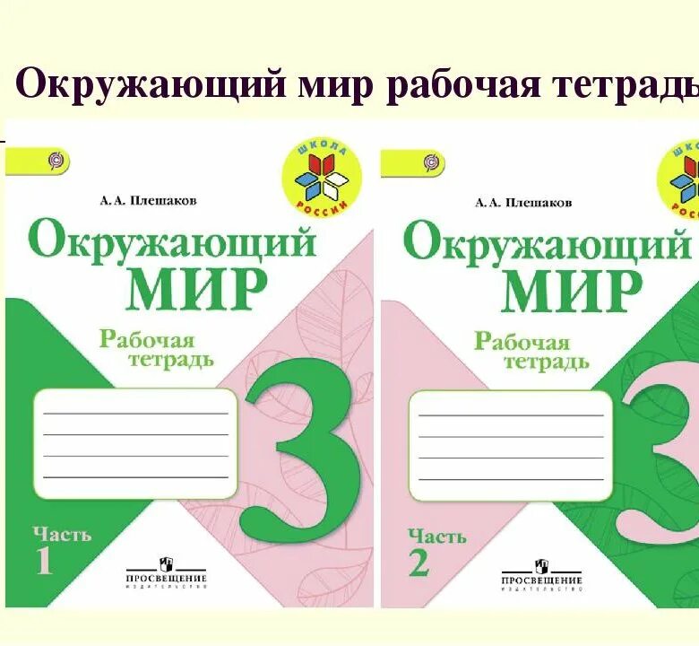 Окружающий 21. Рабочая 3 класс рабочая тетрадь Плешаков. Рабочие тетради по школе России 3 класс окружающий мир. Окружающий мир 3 класс рабочая тетрадь Плешаков. Окружающий мир 3 класс Плешаков тетрадь.