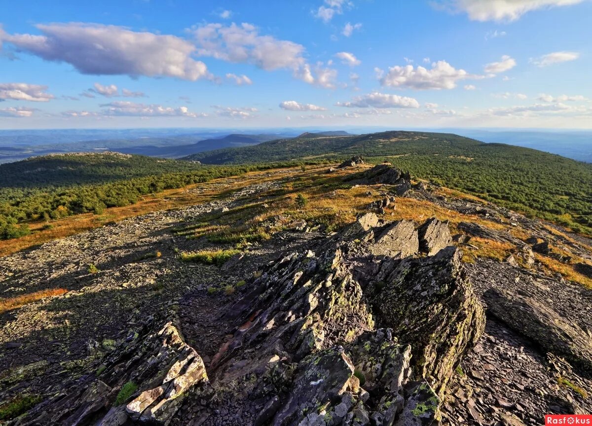 крупные массивы. типовые задачи обработки массивов. гора пюи де санси франция. понятие массива в программировании. гора малый шатак.