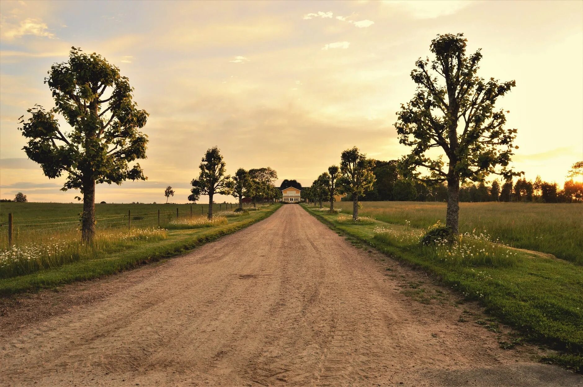 Decided to the countryside. Сельская дорога. Фон дорога. Дорога в деревне. Деревня с дорогой.