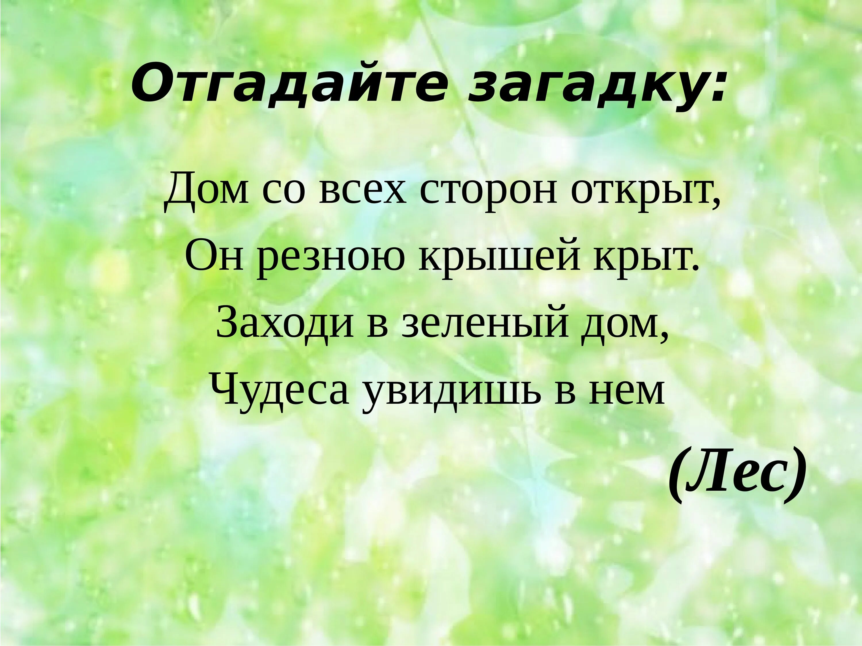 Загадки про грибы