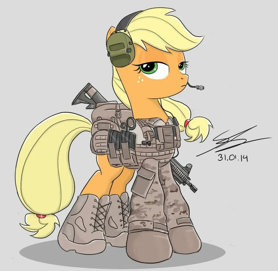 MLP милитаризм. МЛП арт милитари. Пони в военной форме. МЛП военные. Pony vk
