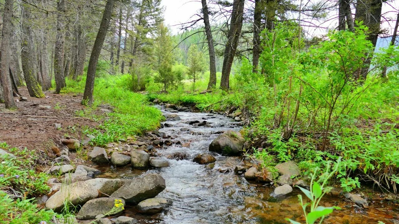 Шум воды ручья. Звук ручья. Шум воды и ручья. Шумящие ручьи Лопухинка. Ручей 10 часов.