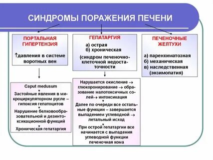 Синдромы печени пропедевтика