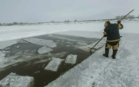 Заготовка льда