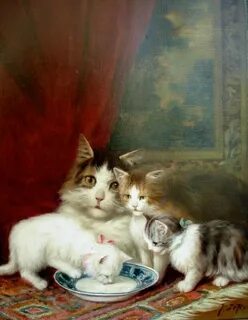 Boy chat