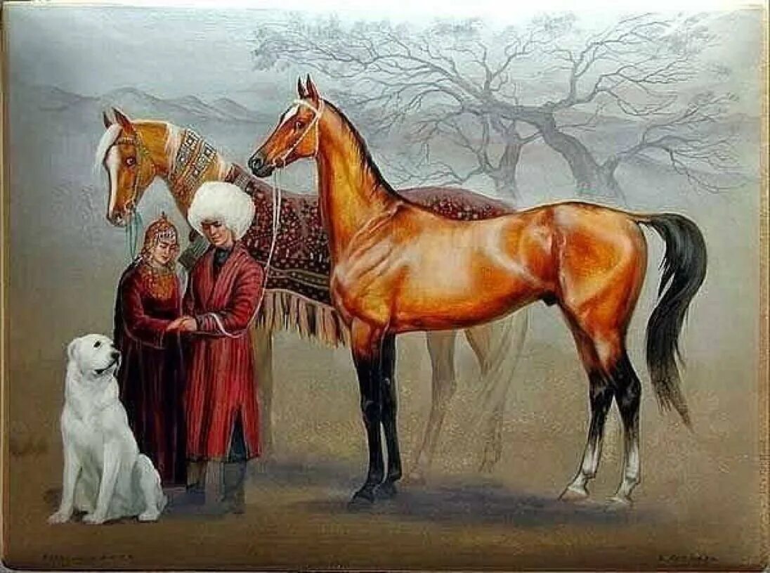 Девушки собаки лошади. Туркменские лошади Ахалтекинцы. Ахалтекинская лошадь Туркменистан. Туркмен художник конь. Туркменский конь ахалтекинец.