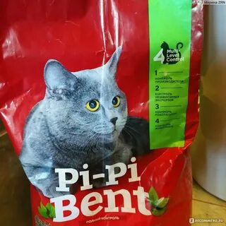 Pi pi bent 24