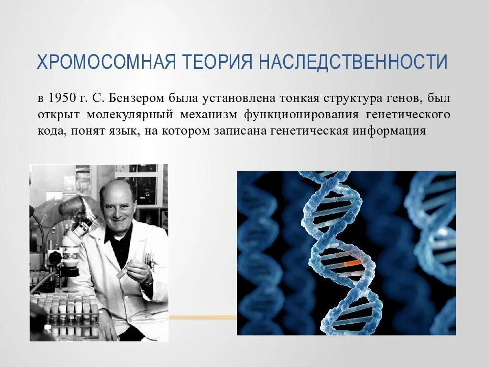 Генетика обучение. Общая генетика. Основы генетики. Основы наследственности генетика. Основы общей генетики.