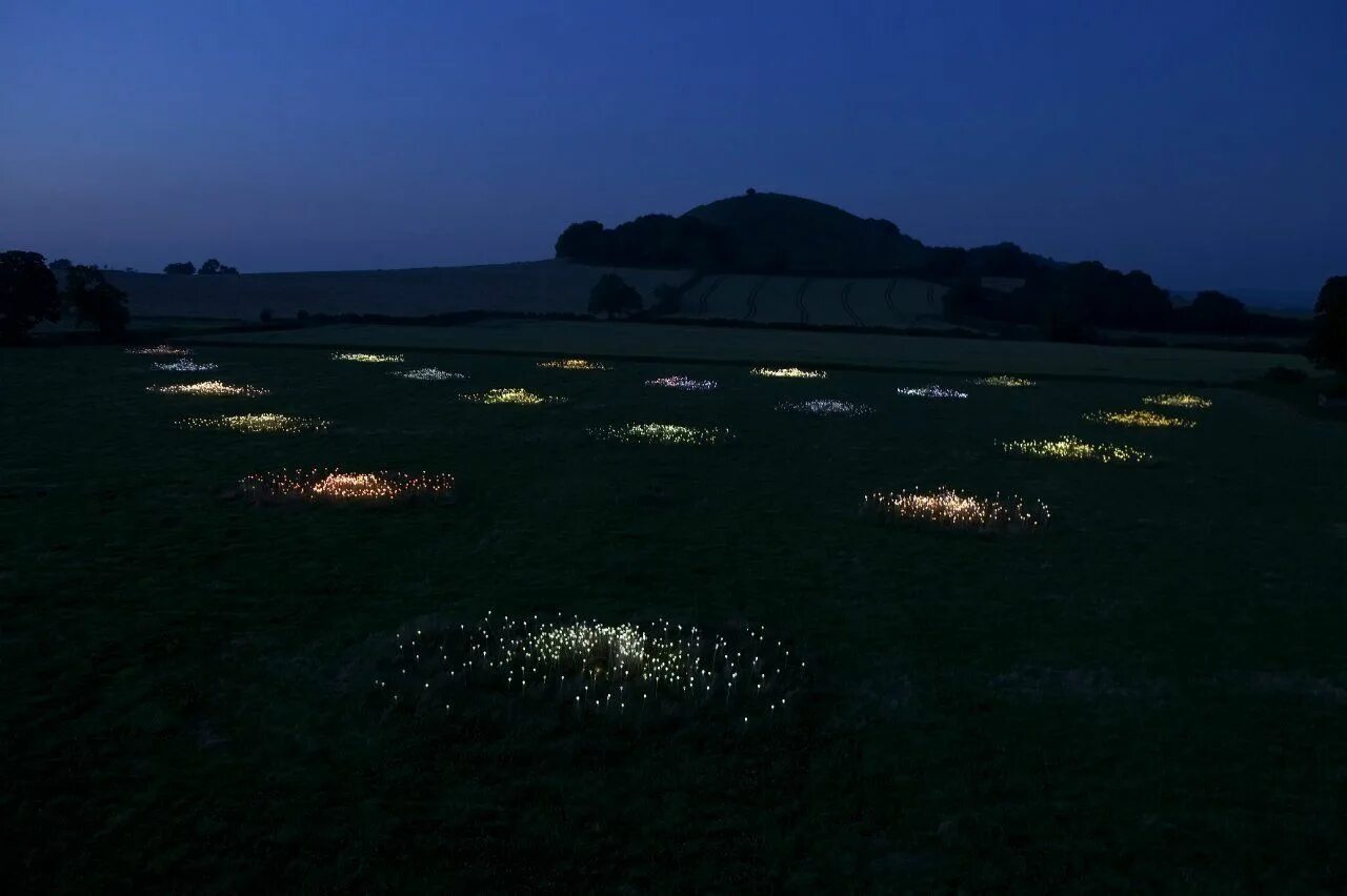 Бензиновые зажигалки на алиэкспресс. Бензиновые зажигалки на алиэкспресс. Lighter fields. Lighter fields. Световое поле брюса мунро.