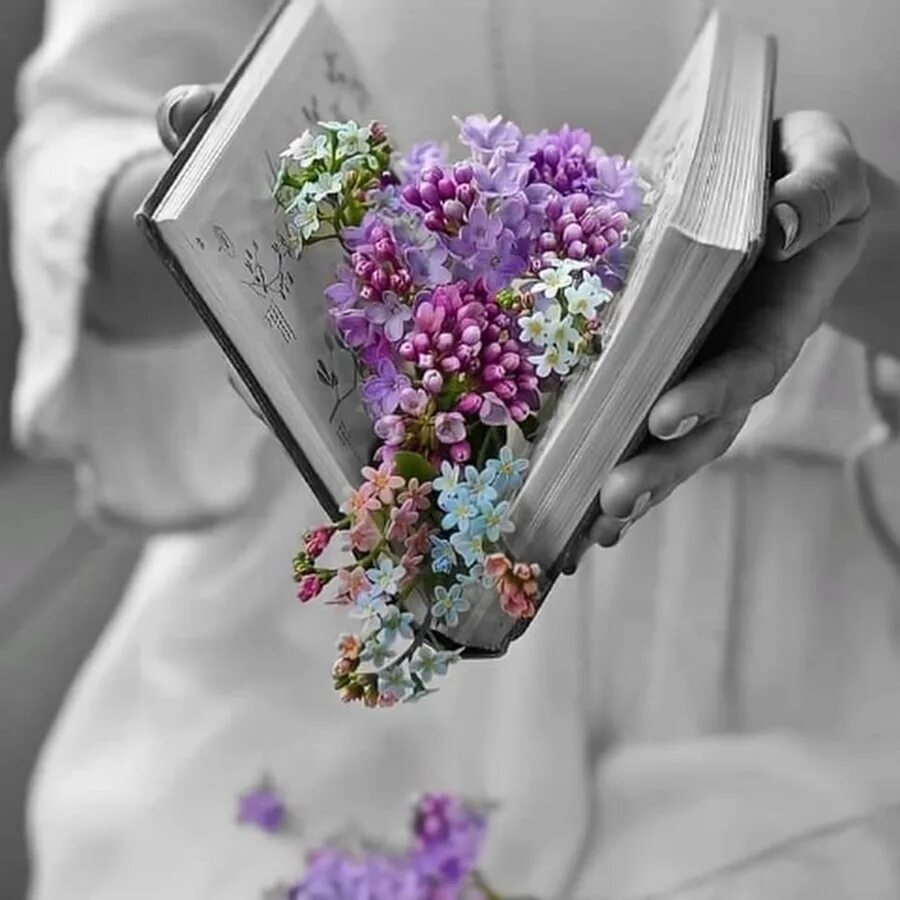Книга цветы. Букет и книга. Весенний книжный букет. Цветы и книги фото красивые. Новая жизнь разбор