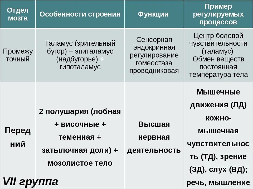 Головной мозг название отдела и функции таблица. Отделы мозга функции отделов. Строение и функции отделов головного мозга таблица. Таблица по головному мозгу отделы и функции.