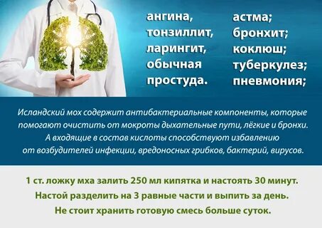 Исландский мох давление