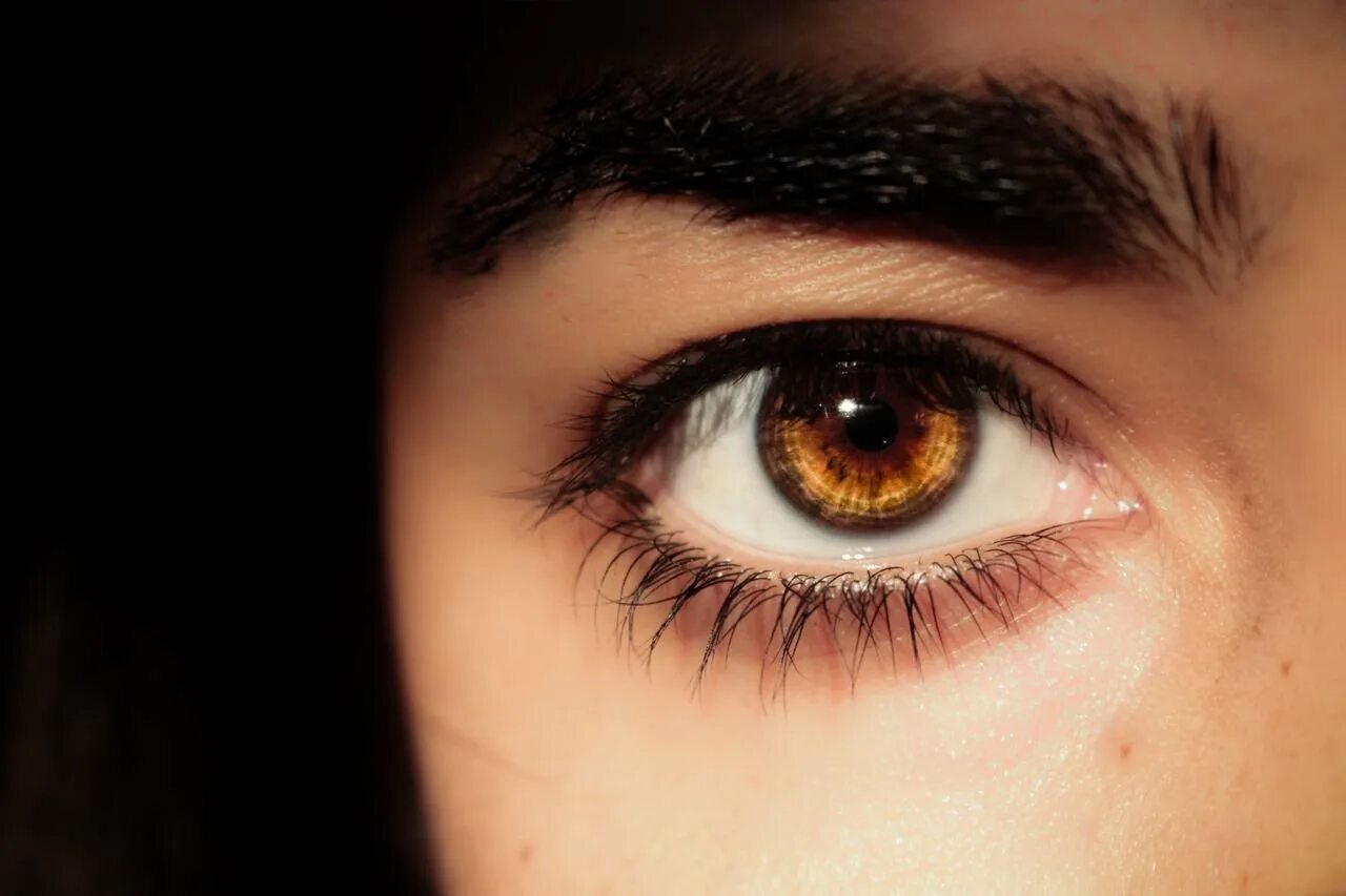 Карие глаза. Темно карие глаза. Красивые янтарные глаза. Красивые карие глаза. Карие или карии