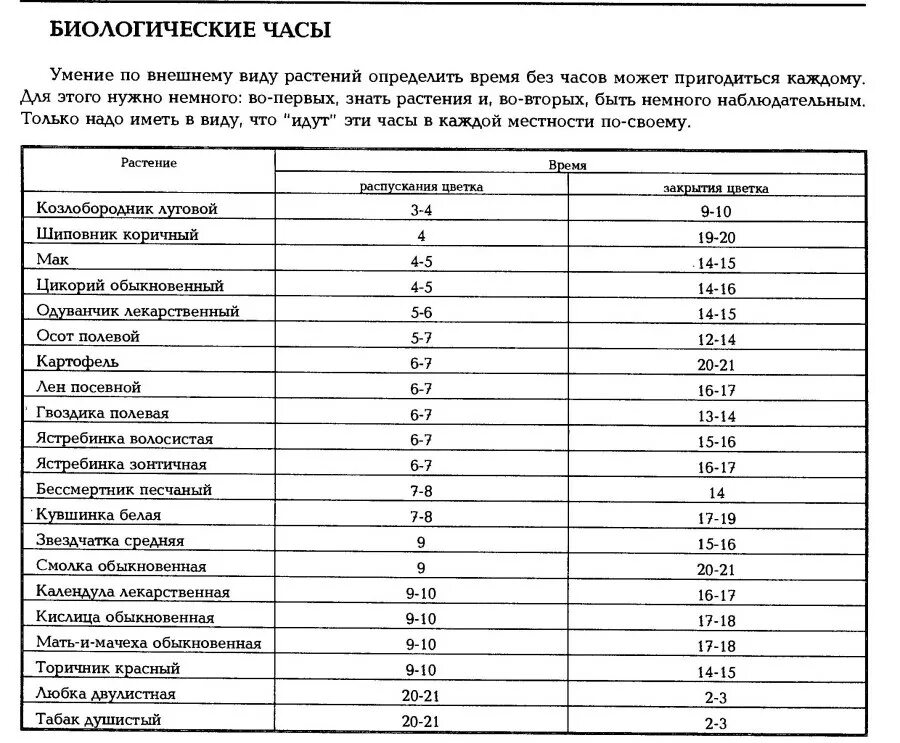 Биологические часы растений. Цветочные часы биология. Цветочные часы таблица. Биологические часы растений 6 класс. Биологические часы 5 класс