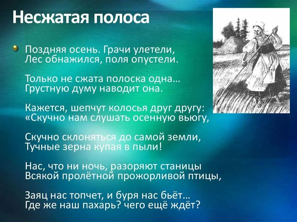 Несжатая как пишется. Стих Несжатая полоса. Стих Некрасова Несжатая полоса. Стихотворение не зжатая аолоса.