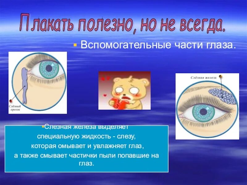 Вспомогательные части глаза. Плакать полезно для глаз. Слезная жидкость в глазу.