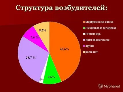 Возбудитель состав