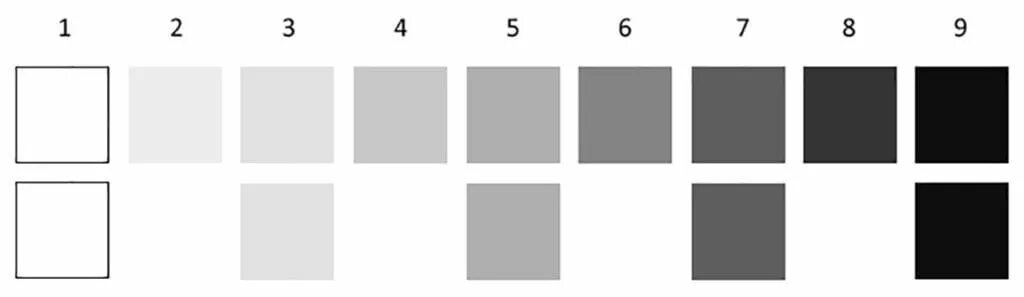Тональная шкала. Тональная шкала рисунок. Тональная шкала цветов. Градация серого цвета. 9 tone