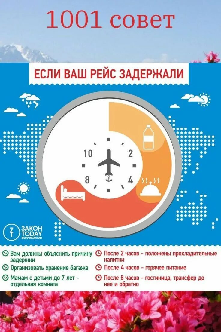 Если рейс задержан. Задержали рейс на 4 часа. Задержали рейс на 4 часа. Советы туристам. Задержали рейс на 4 часа.