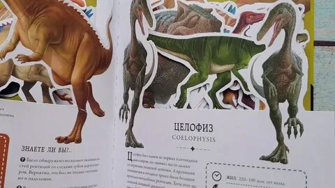 Галереи энциклопедий