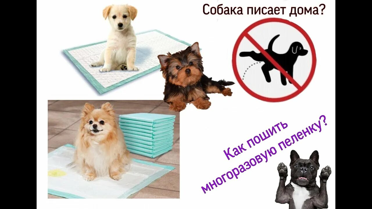 Как собаку от пеленки приучить к улице. Многоразовая пеленка для собак своими руками. как сделать многоразовую пеленку для собаки своими руками. как пошить многоразовые пеленки для собак. сшить многоразовую пеленку для собак.