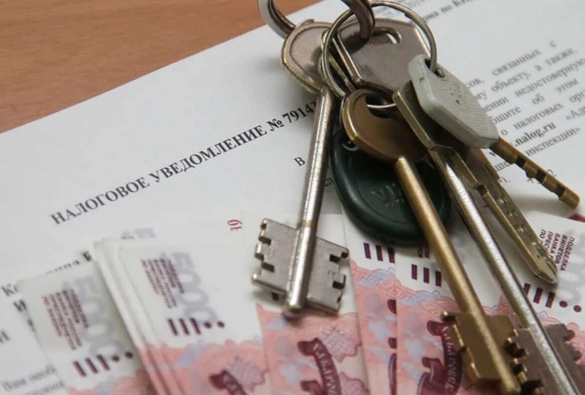5 лет срок владения квартирой