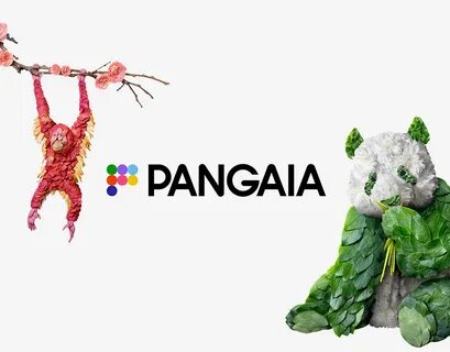 Pangaia