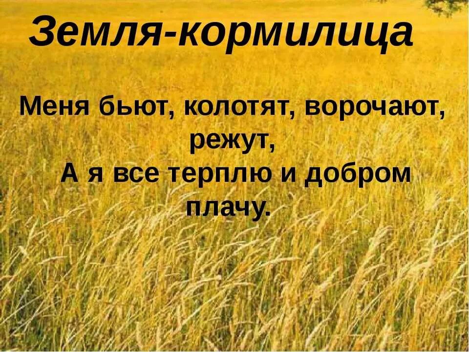 Пословицы о земле кормилице и растениях. Загадки и пословицы о земле. загадки и пословицы о земле кормилице и растениях. загадки о земле кормилице. загадки о земле.