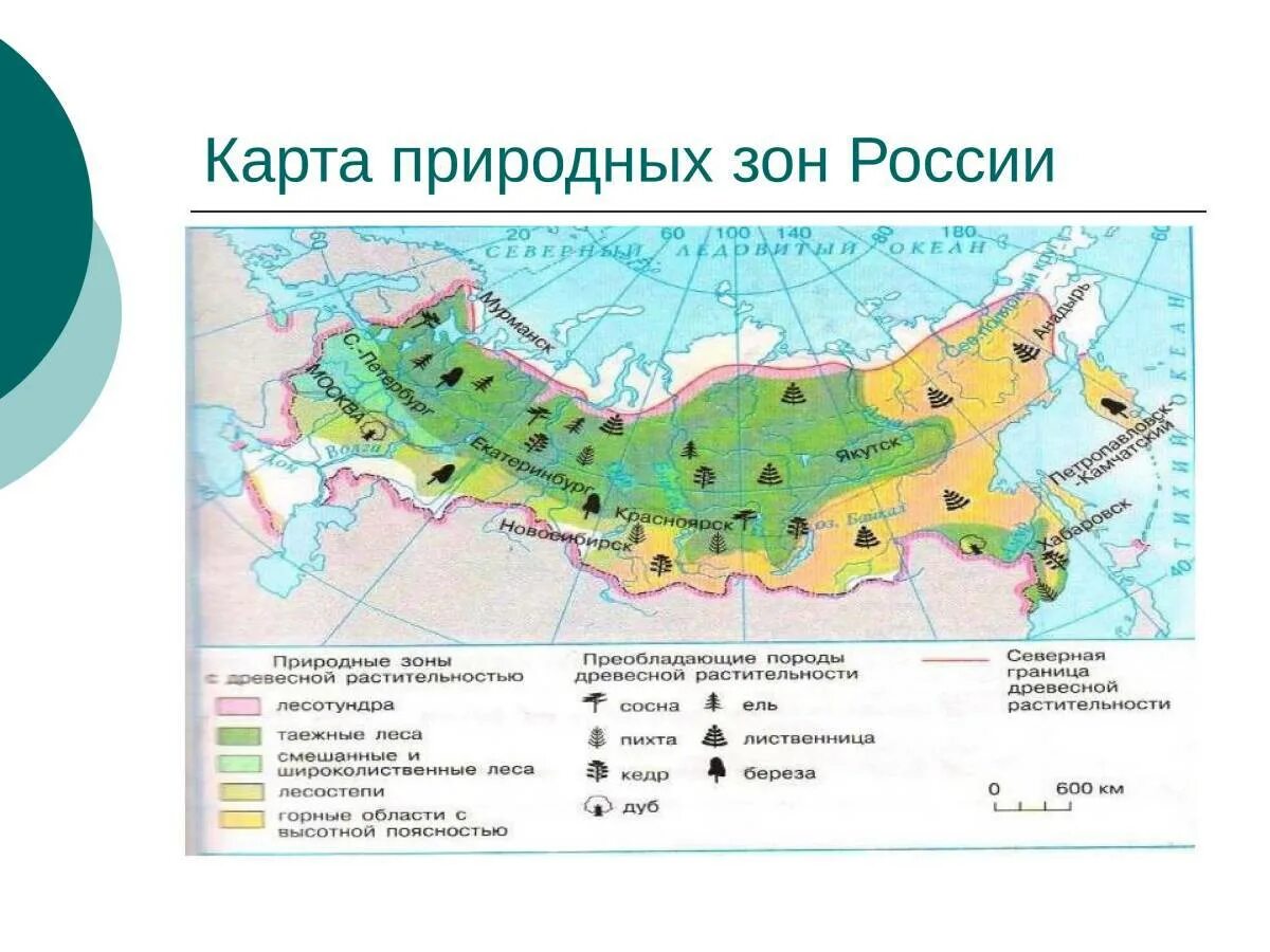 Природные зоны россии конспект урока 4 класс. Карта природных зон 8 класс география. Лесные зоны России на карте 4 класс. Карта природных зон России 4. 5 Природных зон России на карте.