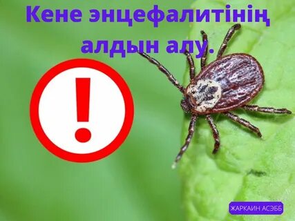 Регистрациясыз онлайн порно көру