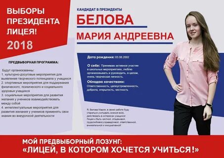 Школьная предвыборная кампания