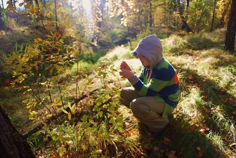 Мальчик заблудился в лесу. Детская фотосъемка на природе. Мальчик был в лесу был это. Мальчик в лесу. Ребенок потерялся в лесу.