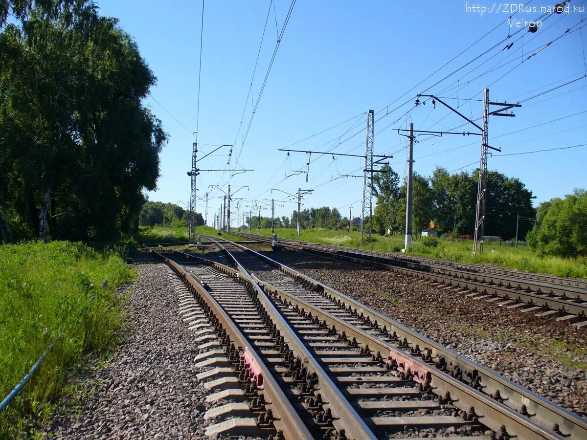 Электричка барыбино белые столбы. Жд станция белые столбы. станция белые столбы лес. интересные места в барыбино. белые столбы ветка.
