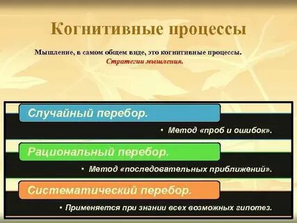 Процесс развития когнитивного мышления