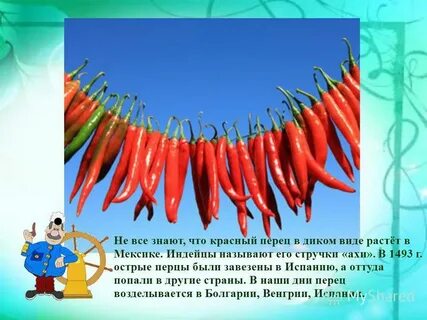Дары старого и нового света сообщение