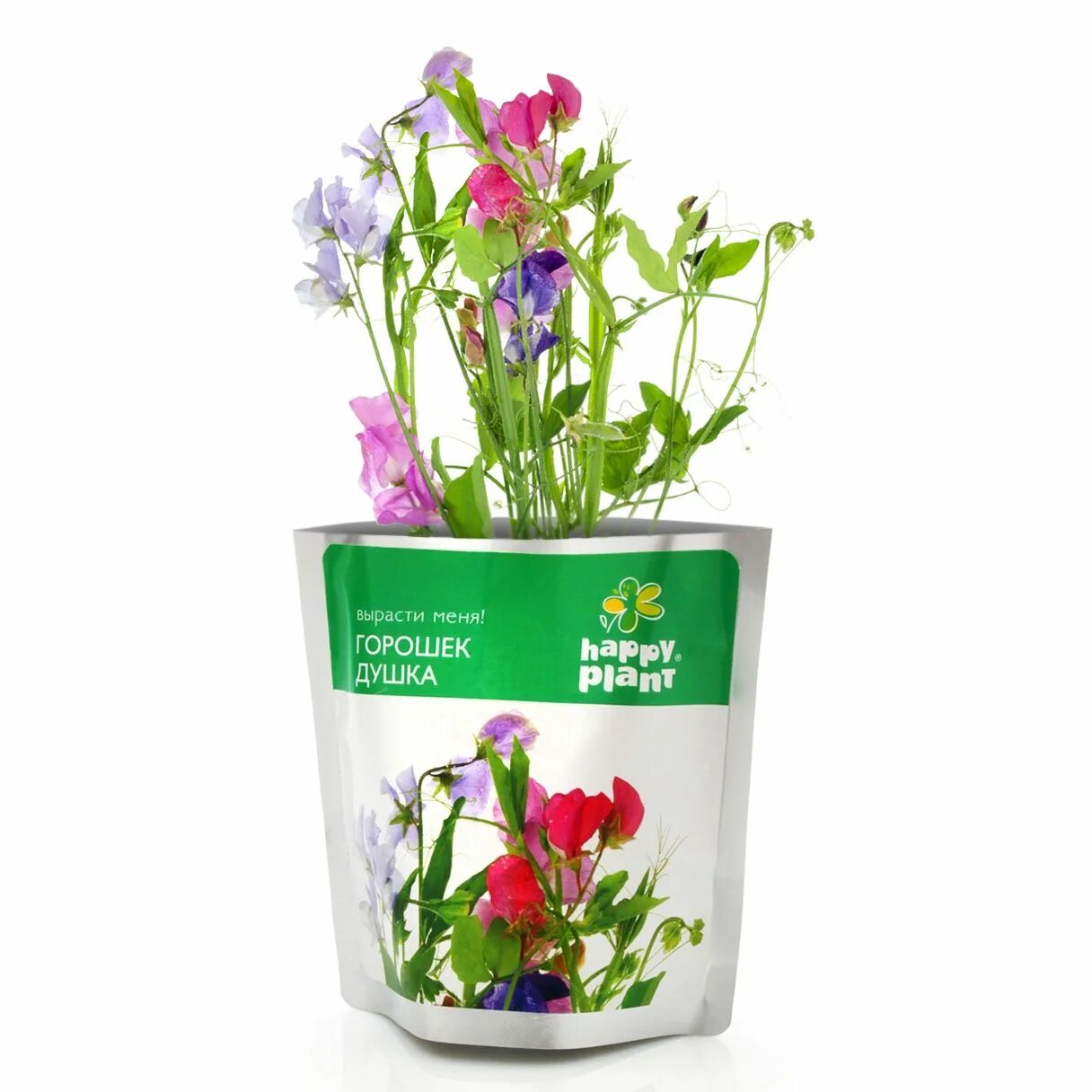 Набор для выращивания. Вырастить растение для детей набор. Выращивание растений для детей. Цветы рассада для школы. Набор для выращивания растений для детей.