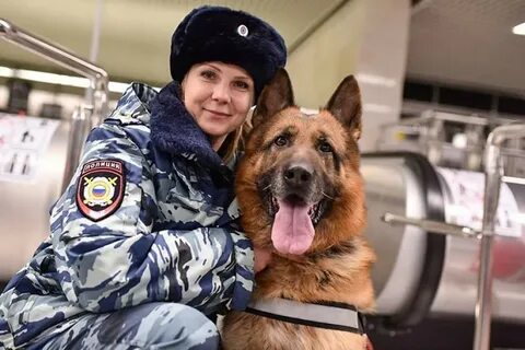 Сколько лет кинологической службе в 2024