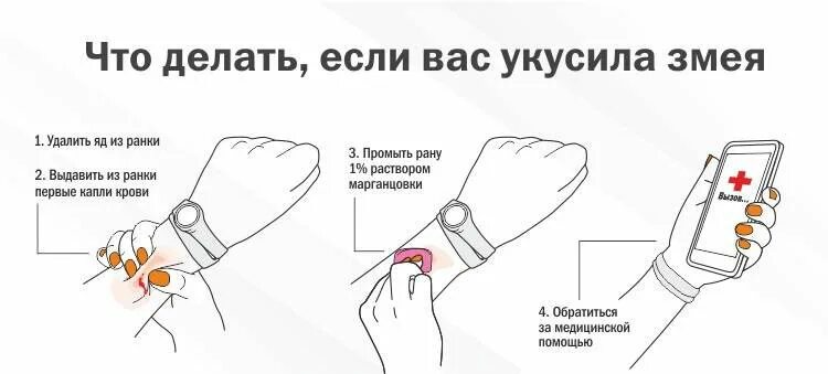 Противопоказания для отсасывания яда из ранки ртом. Что делать если укусила змея. Что делать если вас укусила змея. Чтотделать при укусе змеи. Чтоделатт при укусе змеи.