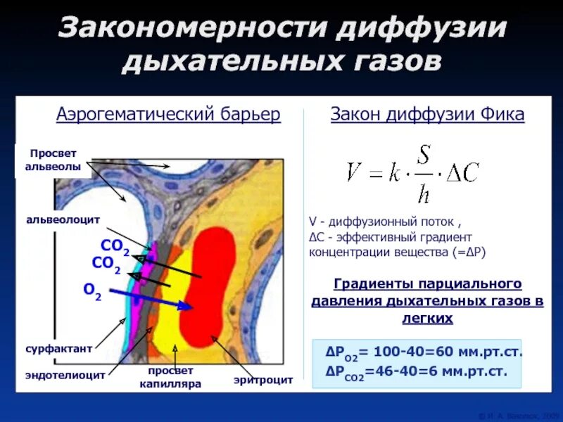 Градиент концентрации
