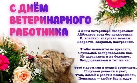 День ветеринарного врача поздравление в картинках