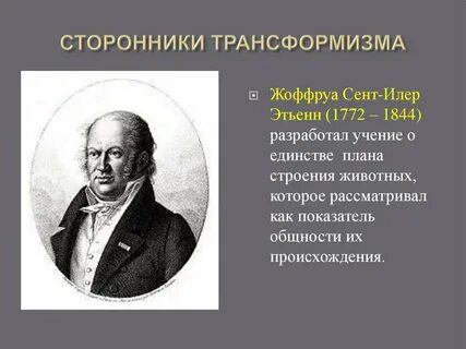 Что такое трансформизм