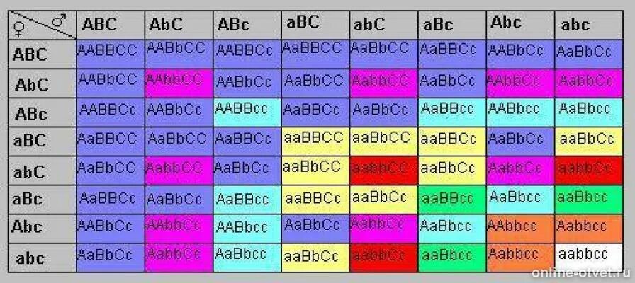 Решетка Пеннета для 3 признаков. Решетка Пеннета ABC. Решетка Пеннета при тригибридном. Решетка Пеннета Тригибридное скрещивание.