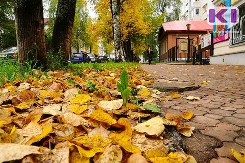Октябрь сыктывкар